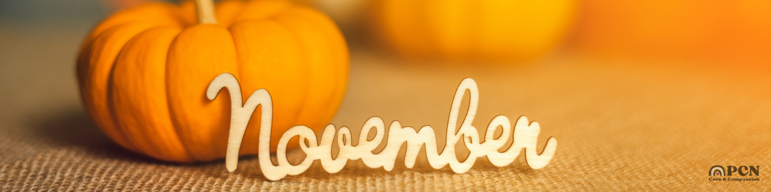 The PCN Connection – November 2025