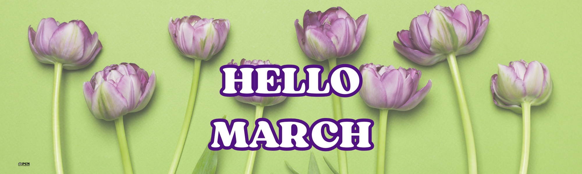 The PCN Connection – March 2026